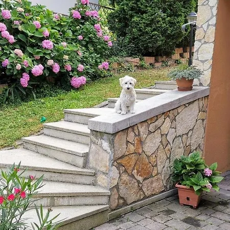 Bdis 1 Zalakaros