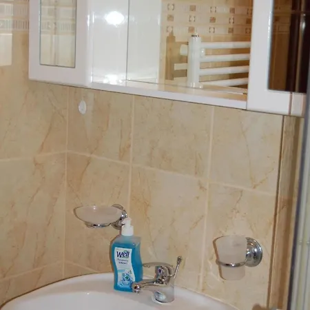 Bdis 1 Apartment Zalakaros