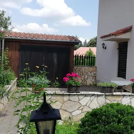 Bdis 1 * Zalakaros
